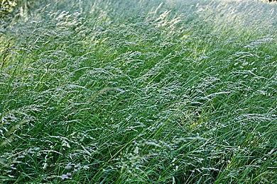 Game Pass 2022年8月下旬新增游戏公布